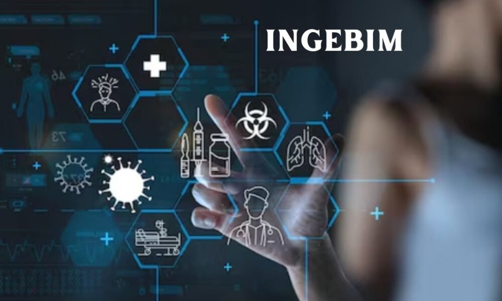Ingebim Explained: Meaning, Context, and Modern Relevance