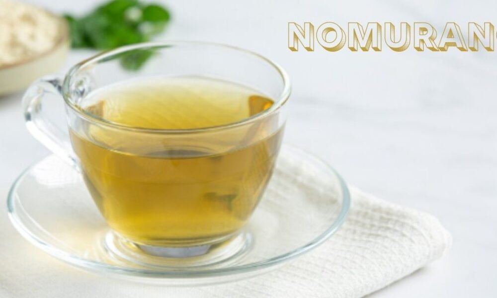 Nomurano Guide: Meaning, Uses, and Practical Insights