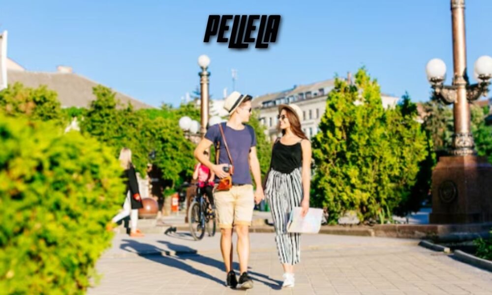 Pellela Explained: Meaning, Usage, and Everyday Importance