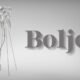 Boljeti