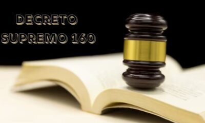 Decreto Supremo 160