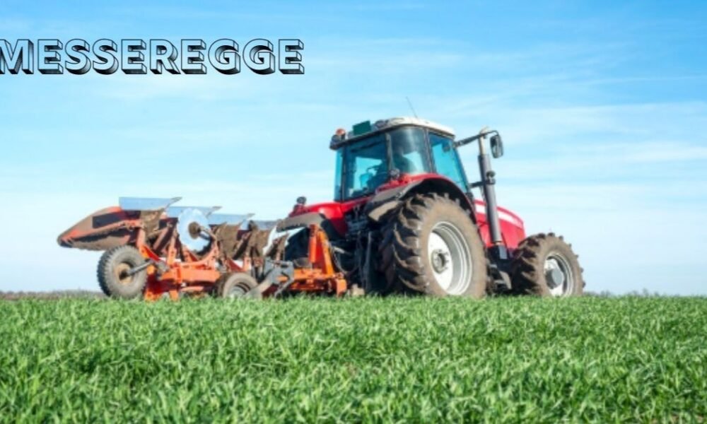 Messeregge Explained: Meaning, Uses, and Modern Relevance
