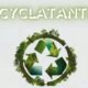 Recyclatanteil