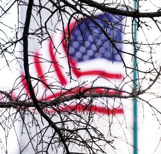 Jobs for Immigrants in the U.S.: The TBIListings Online Platform Which Offers Opportunities