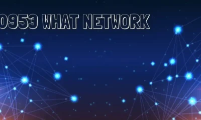 0953 What Network