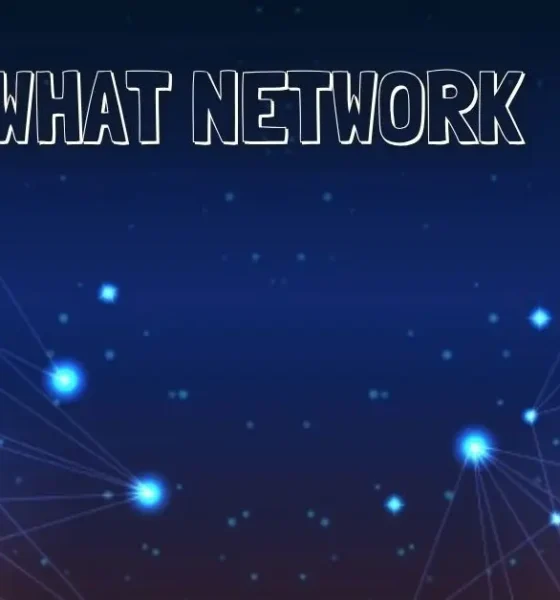 0953 What Network