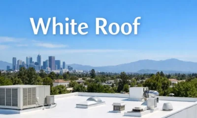 White Roof